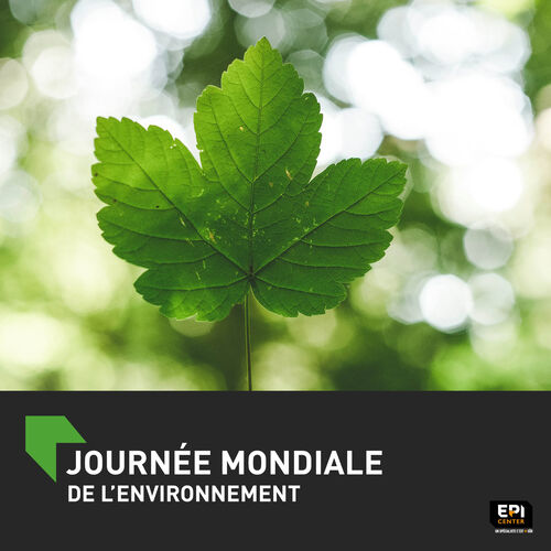JOURNÉE MONDIALE DE L'ENVIRONNEMENT JOURNÉE MONDIALE DE L'ENVIRONNEMENT